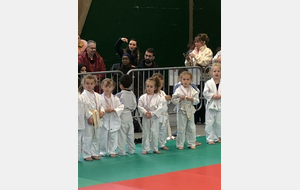 Nos moustiques - Jade