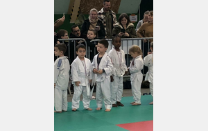 Nos moustiques - Victor