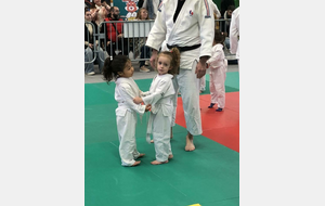 Nos moustiques - Jade