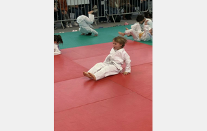 Nos moustiques - Siméon