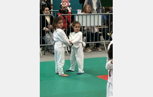 Nos moustiques - Maïssa et Sofia