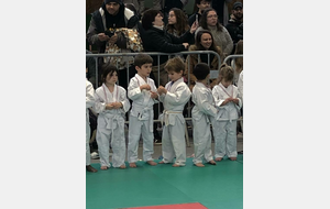 Nos moustiques - Henri et Solal