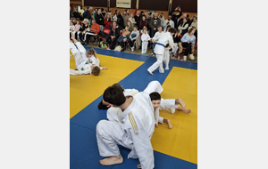 Nos Moustiques - Rali