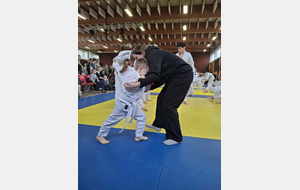 Nos Moustiques - Timéo