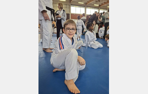 Nos Moustiques - Noé