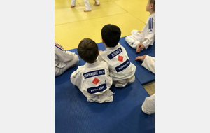 Nos Mini-Poussin(e)s -  Ethan et Aedan