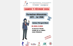 Formation délocalisée UV4 1er DAN