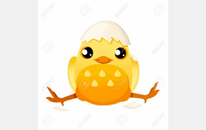 Mini-Poussin(e)s Judo